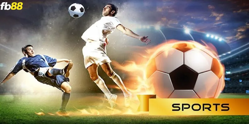 esports fb88 giới thiệu